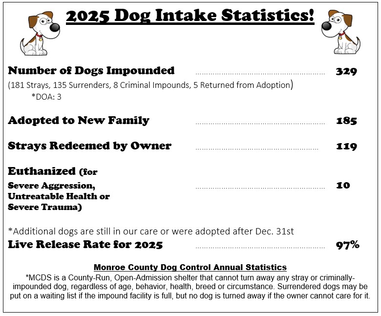 2025 Dog Intake Statistics graphic showing impound, adoption, redemption, euthanasia, and live release rate